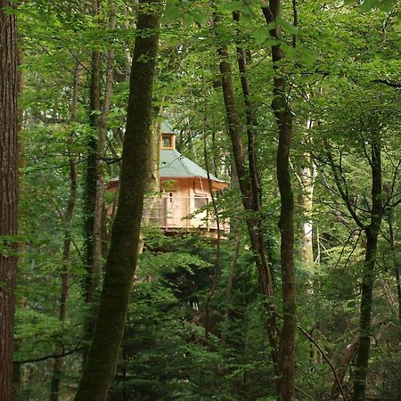 Les Cabanes De Kermenguy Cleder Bilik gambar